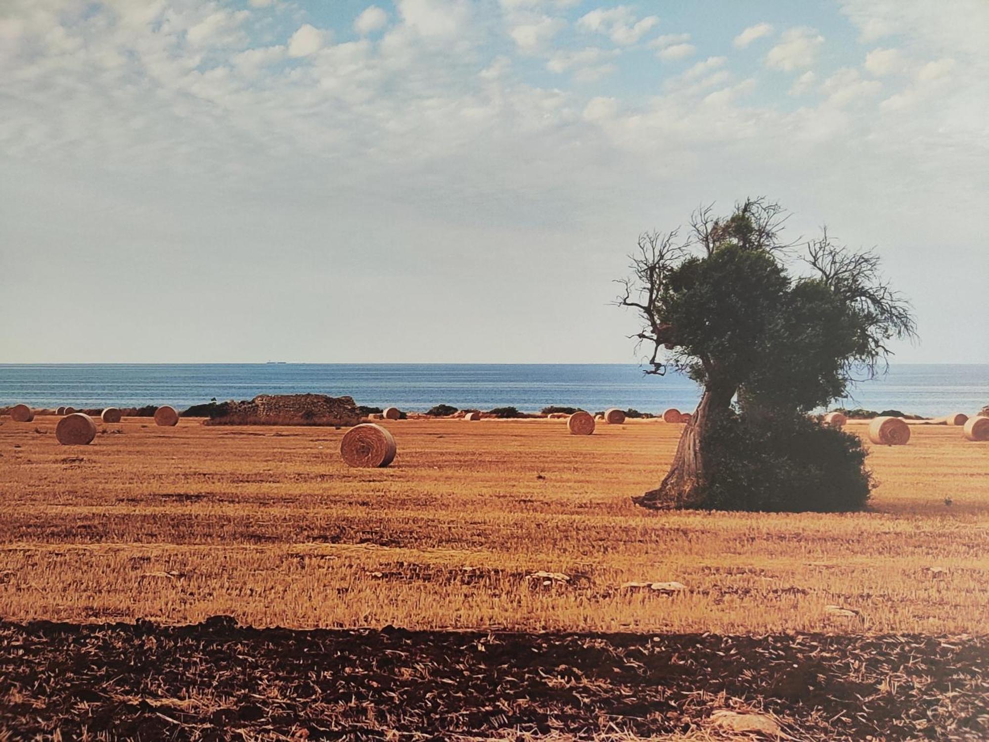 La Suite Di Eva Mola di Bari Bagian luar foto